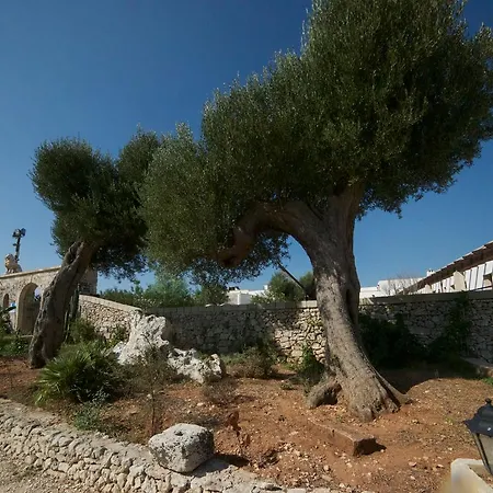 Masseria Cinti