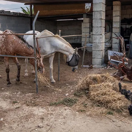Alloggio per agriturismo Masseria Cinti